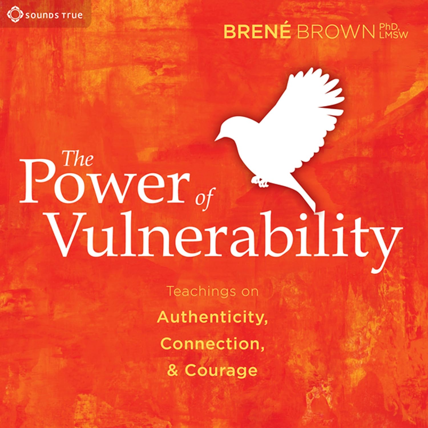 Musings on “The Power of Vulnerability” by Brene Brown – Part 1