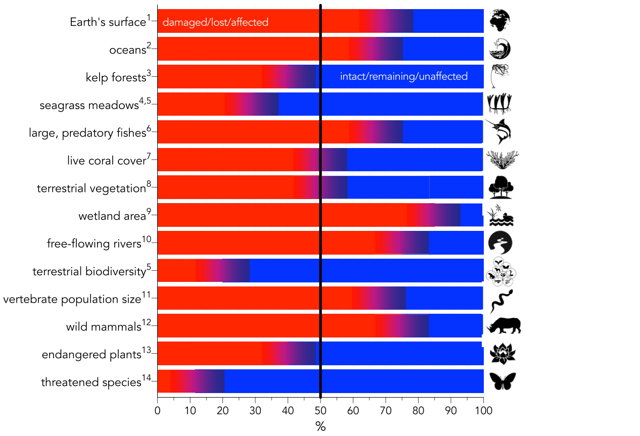 Graphic of environmental changes